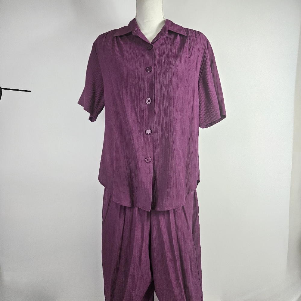 Sarah Bentley Purple Rayon Polyester Blend Petite Medium Pant Suit